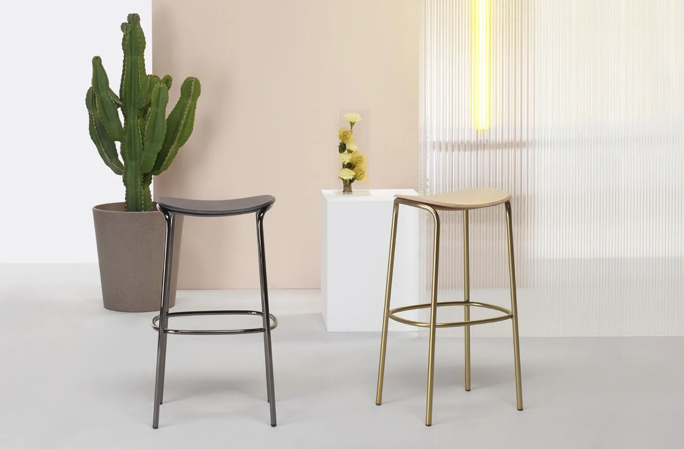 New shop collection our shop